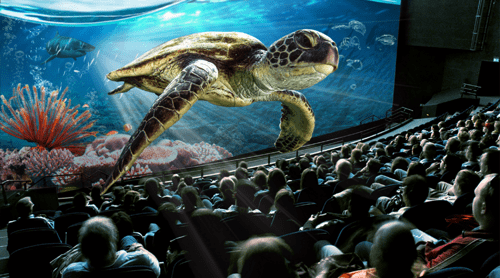 3D Unterwasserlandschaft auf einer grossen Leinwand in einem Kinosaal 